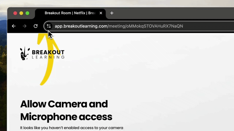 Granting camera and microphone access